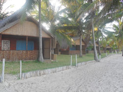 Arieia Branca Mozambique