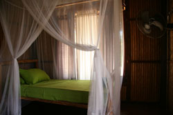 Palm View Lodge